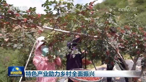 千行百業 拔節向上 鞏固好勢頭 經濟高質量發展呈現生動圖景